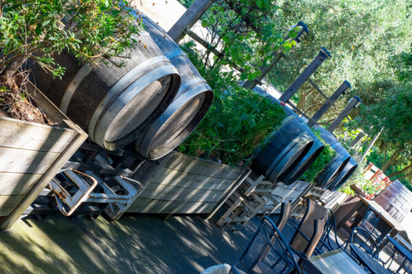 Wooden wine barrels lining sunlit outdoor patio.